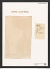 Navicula sp. (de-Toni-Nr.: Genus 1) Zeichnungen Sammlung Grunow (NHMW-BOT-W0368064)